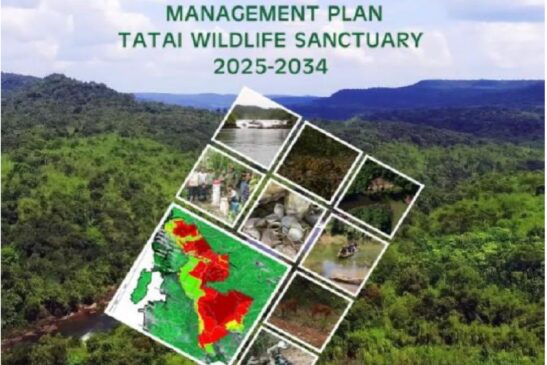 Management Plant Tatai Wildlife Sanctuary 2025-2035