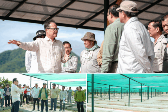 ក្រសួងបរិស្ថាន៖ ថ្នាលបណ្តុះកូនឈើថ្នាក់តំបន់ ក្នុងខេត្តកំពង់ស្ពឺ មានសមត្ថភាពបណ្តុះកូនឈើច្រើនជាង១លានដើម សម្រាប់ចែកជូនប្រជាពលរដ្ឋ យកទៅដាំដោយឥតគិតថ្លៃ