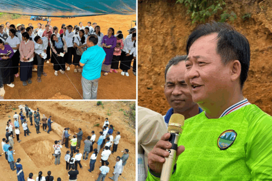 ដើមឈើអាយុកាលចន្លោះពី ១០ម៉ឺនឆ្នាំ ទៅ ២លានឆ្នាំ ត្រូវបានកំណាយរកឃើញនៅស្រុកសេសាន