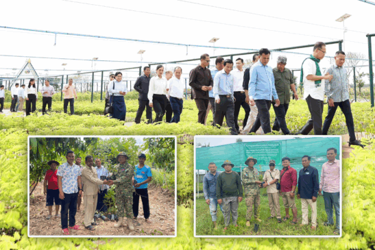 ក្រសួងបរិស្ថានបន្តចែកកូនឈើចម្រុះដោយឥតគិតថ្លៃក្នុងឆ្នាំ២០២៥ ជូនពលរដ្ឋយកទៅដាំ ដើម្បីជួយបង្កើនគម្របបៃតងនៅកម្ពុជា