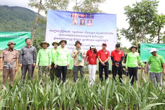 កូនត្នោតចំនួន ១៥០០ ដើម ត្រូវបានដាំនៅសហគមន៍តំបន់ការពារធម្មជាតិភ្នំជើងលៀង ក្នុងភូមិសាស្រ្តខេត្តកំពង់ឆ្នាំង