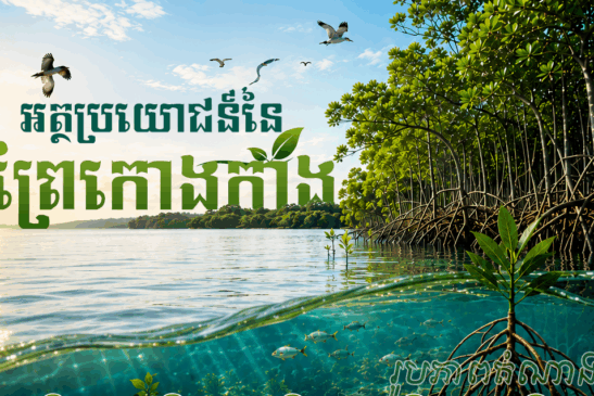 ទិវាអន្តរជាតិសម្រាប់ការអភិរក្សប្រព័ន្ធអេកូឡូស៊ីព្រៃកោងកាង ២៦ កក្កដា ២០២៦